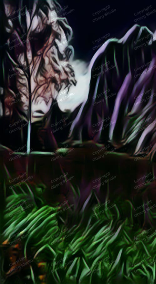 Oberg Studio Digital Artwork